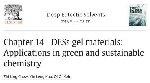 CME Postgraduate Student Publishes Book Chapter on Deep Eutectic Solvents Gel Materials