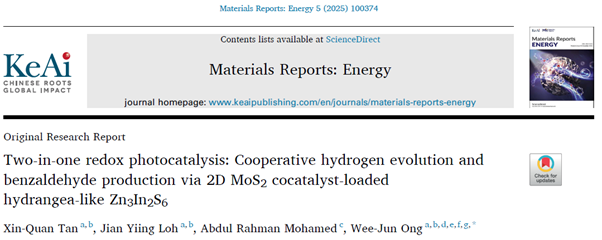 The full research article can be accessed online at https://www.sciencedirect.com/science/article/pii/S266693582500062X